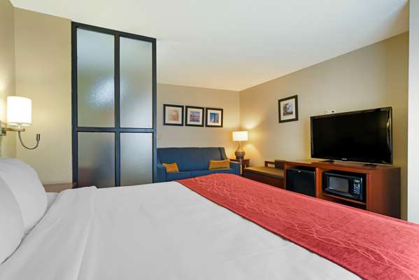 Suite - Comfort Suites Fultondale - I-65, Exit 267
