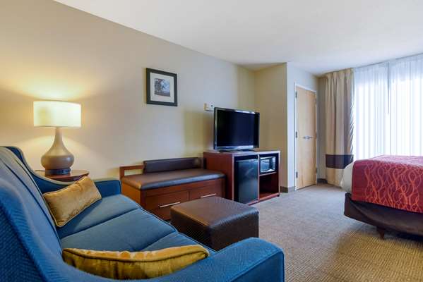 Suite - Comfort Suites Fultondale - I-65, Exit 267