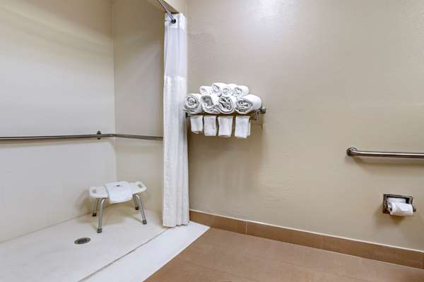  - Comfort Inn & Suites Lincoln - I-20, Exit 168