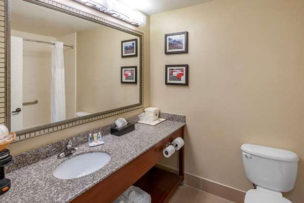  - Comfort Inn & Suites Lincoln - I-20, Exit 168