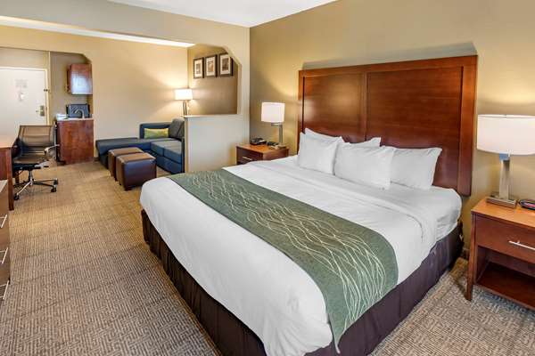 Suite - Comfort Inn & Suites Lincoln - I-20, Exit 168