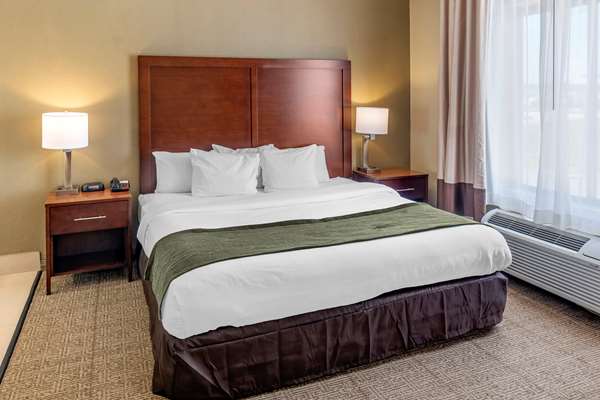 Suite - Comfort Inn & Suites Lincoln - I-20, Exit 168
