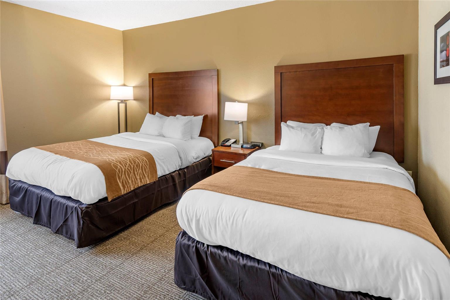 COMFORT INN AND SUITES LINCOLN I-20-guestroom-Guest Room,On-Site.jpg