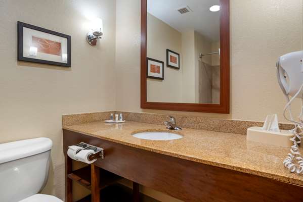  - Comfort Suites Oxford - I-20, Exit 188