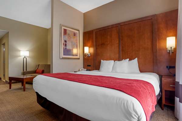  - Comfort Suites Oxford - I-20, Exit 188