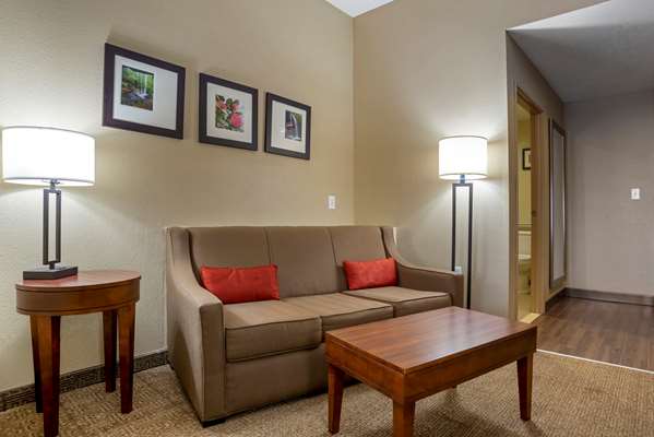  - Comfort Suites Oxford - I-20, Exit 188