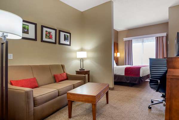  - Comfort Suites Oxford - I-20, Exit 188