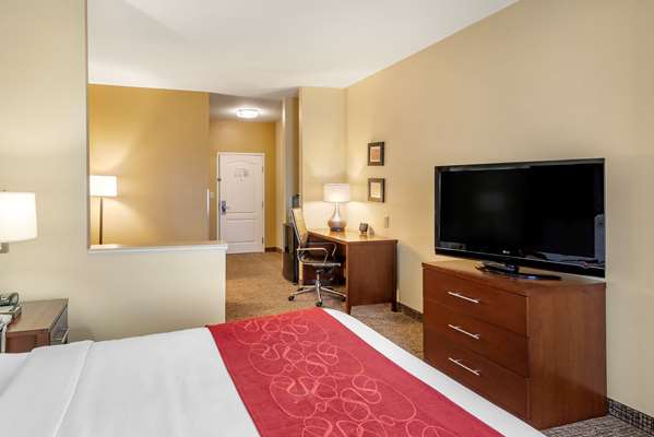 Suite - Comfort Suites East Montgomery - I-85, Exit 6