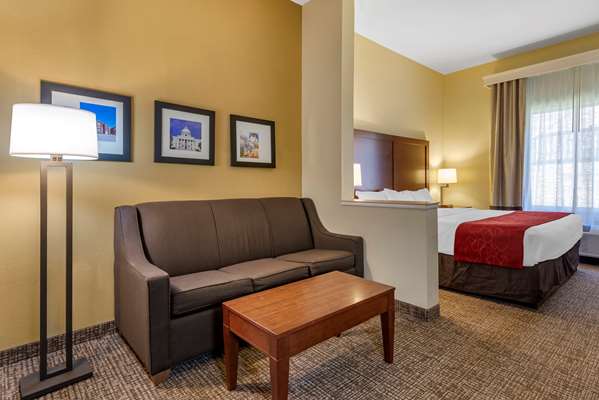 Suite - Comfort Suites East Montgomery - I-85, Exit 6
