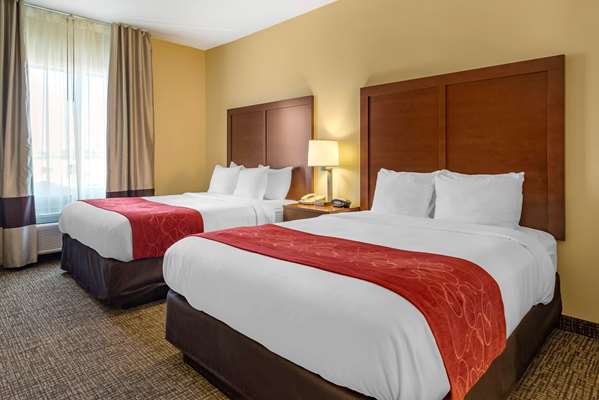 Suite - Comfort Suites East Montgomery - I-85, Exit 6