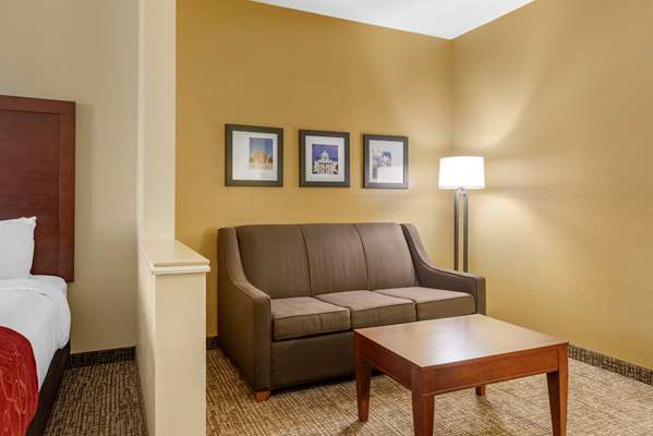 Suite - Comfort Suites East Montgomery - I-85, Exit 6