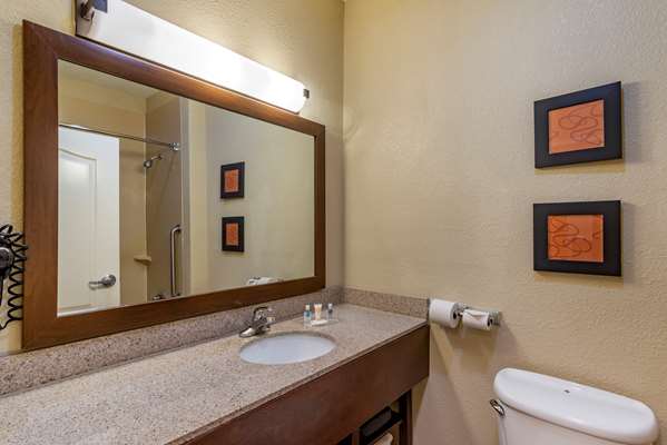 Suite - Comfort Suites East Montgomery - I-85, Exit 6