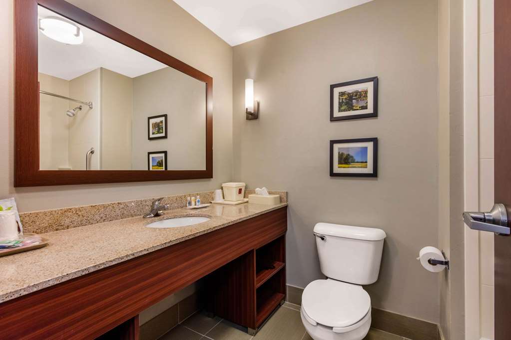 COMFORT SUITES TUSCALOOSA-UNIV-guestroom-Guest Room,Bathroom,On-Site.jpg
