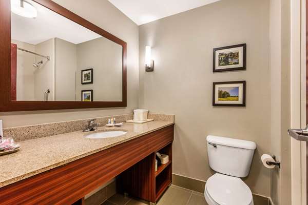  - Comfort Suites Tuscaloosa - I-20 & I-59, Exit 73