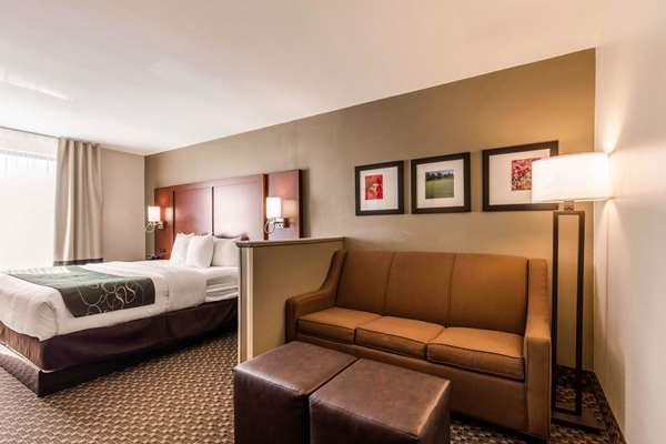  - Comfort Suites Tuscaloosa - I-20 & I-59, Exit 73