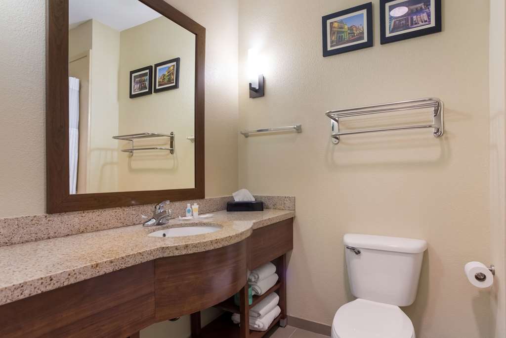 COMFORT SUITES NORTH MOBILE-guestroom-Guest Room,Bathroom,On-Site.jpg