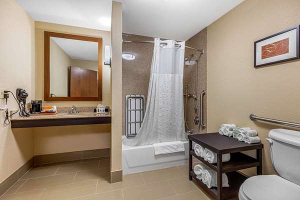 Suite - Comfort Suites Pelham - I-65, Exit 246