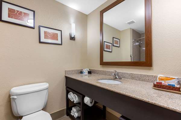 Suite - Comfort Suites Pelham - I-65, Exit 246