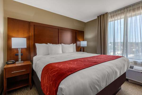 Suite - Comfort Suites Pelham - I-65, Exit 246