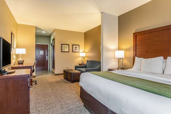 Suite - Comfort Inn Tuscumbia