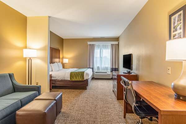 Suite - Comfort Inn Tuscumbia