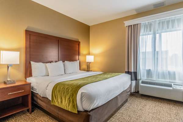 Suite - Comfort Inn Tuscumbia