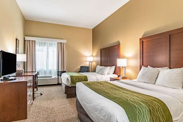 Suite - Comfort Inn Tuscumbia