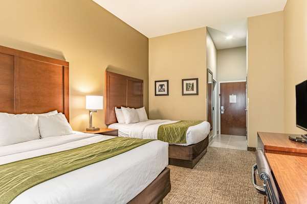 Suite - Comfort Inn Tuscumbia