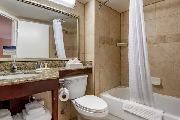  - Comfort Inn Homewood - I-65, Exit 256A