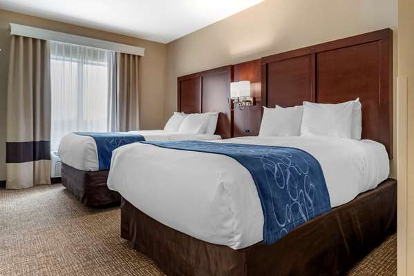 Suite - Comfort Suites Pell City - I-20, Exit 158