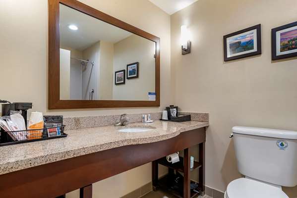 Suite - Comfort Suites Pell City - I-20, Exit 158