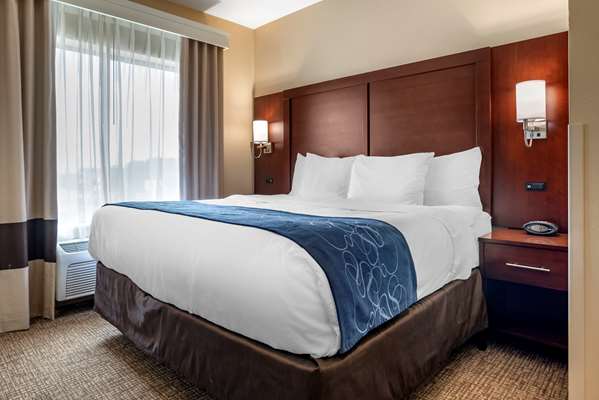 Suite - Comfort Suites Pell City - I-20, Exit 158