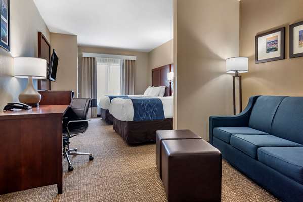 Suite - Comfort Suites Pell City - I-20, Exit 158
