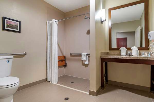 Suite - Comfort Suites Pell City - I-20, Exit 158
