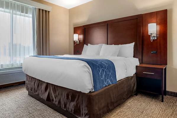 Suite - Comfort Suites Pell City - I-20, Exit 158