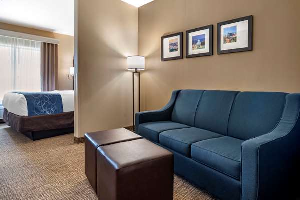 Suite - Comfort Suites Pell City - I-20, Exit 158