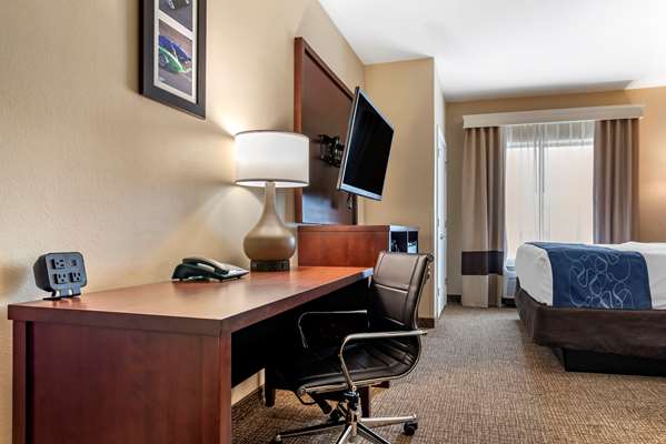 Suite - Comfort Suites Pell City - I-20, Exit 158