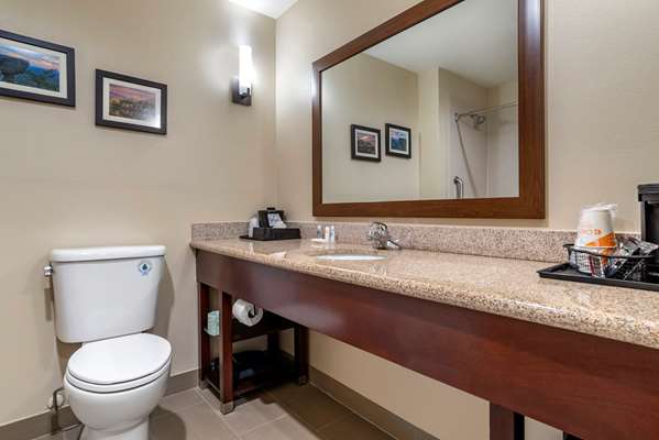 Suite - Comfort Suites Pell City - I-20, Exit 158