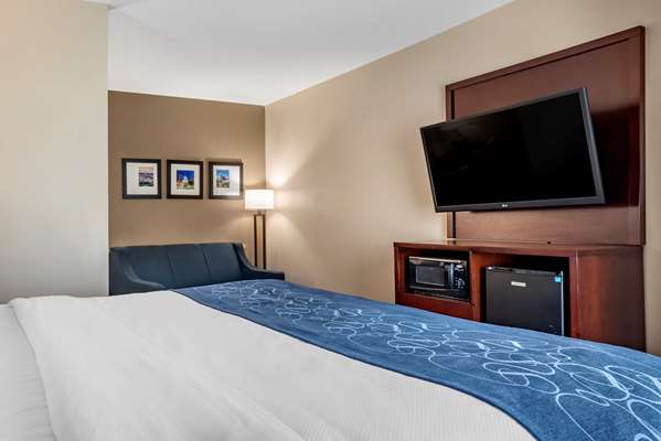 Suite - Comfort Suites Pell City - I-20, Exit 158