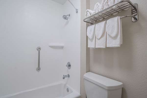  - Econo Lodge Inn & Suites Foley