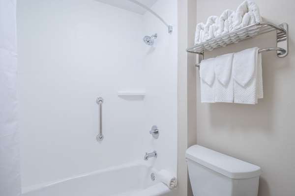  - Econo Lodge Inn & Suites Foley