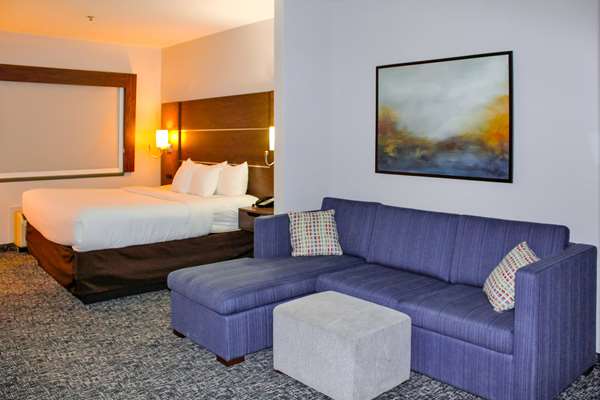Suite - Comfort Inn & Suites Scottsboro