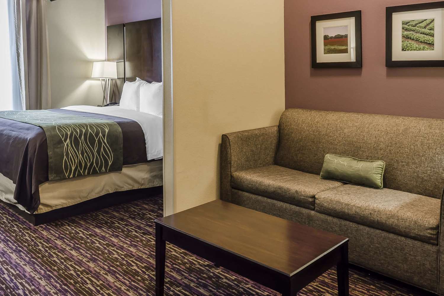 Comfort Inn & Suites Dothan, AL See Discounts