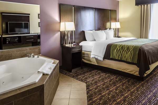  - Comfort Inn & Suites Dothan