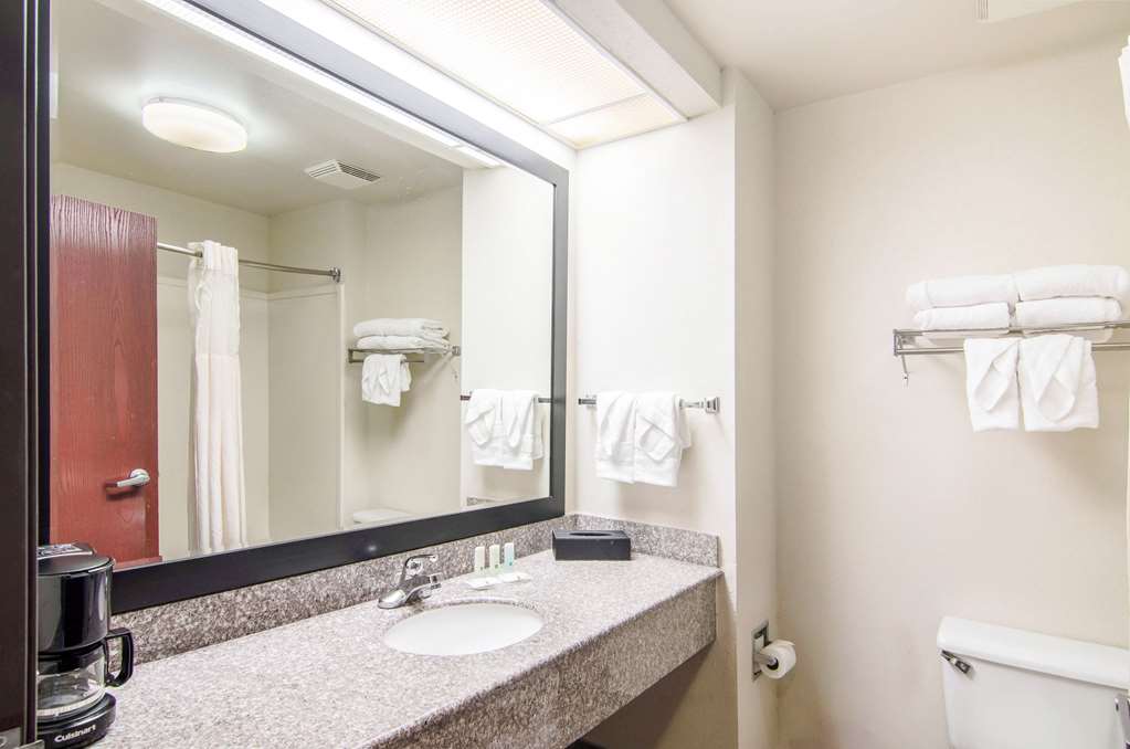 QUALITY INN NEAR UNIVERSITY OF MOBI-guestroom-Guest Room,Bathroom,On-Site.jpg