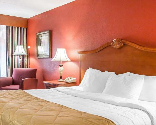  - Clarion Inn & Suites University Center Auburn - I-85, Exit 51