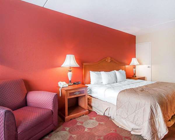  - Clarion Inn & Suites University Center Auburn - I-85, Exit 51