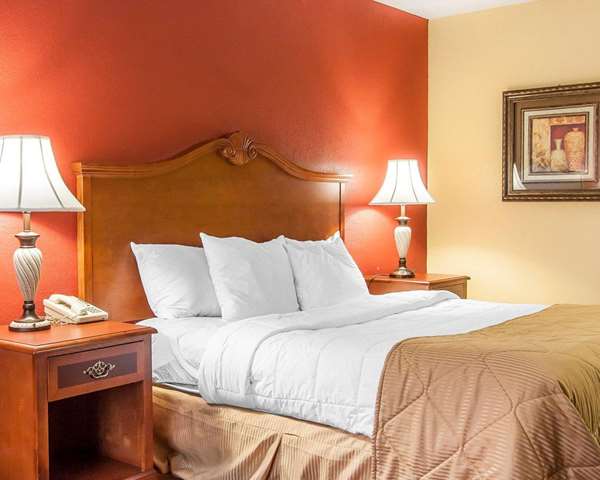  - Clarion Inn & Suites University Center Auburn - I-85, Exit 51