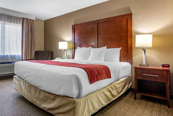 Suite - Comfort Inn & Suites Leeds - I-20, Exit 144