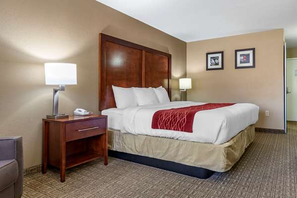  - Comfort Inn & Suites Leeds - I-20, Exit 144